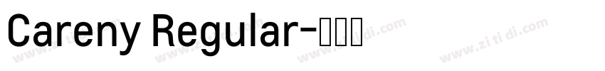 Careny Regular字体转换